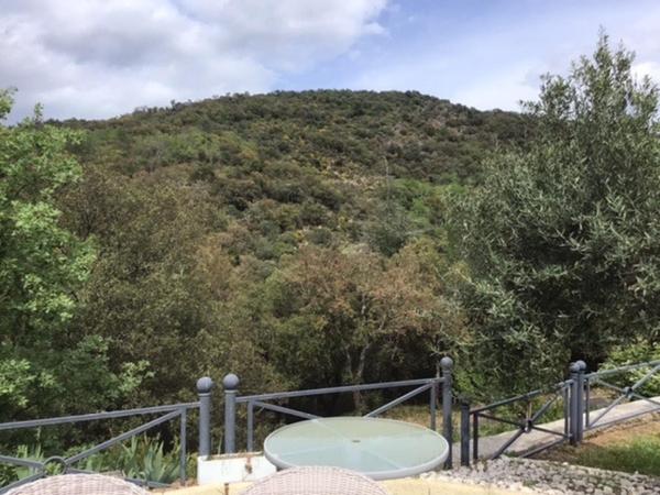 Magnifique propriété composée d’un ensemble de deux maisons, d’une piscine et diverses dépendances sur un peu plus de 5 hectares.<br/>Magnificent property consisting of a set of two houses, a swimming pool and various outbuildings on just over 5 hectares