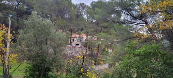 Maison 7 pièces, 220 m2 environ avec piscine sur terrain de 5000m2.