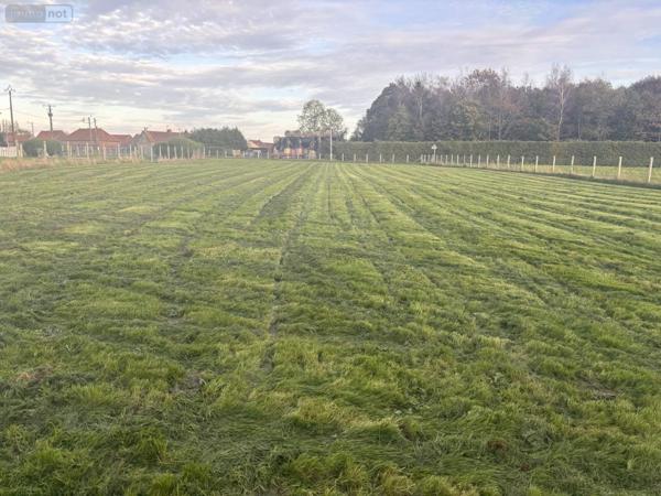 Maison à vendre à Dompierre-sur-Authie dans la Somme (80150), ref : 113/1677