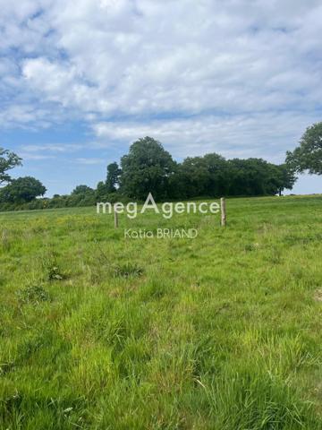 Terrain à SAINT-BERTHEVIN, 53940 - 31800m²