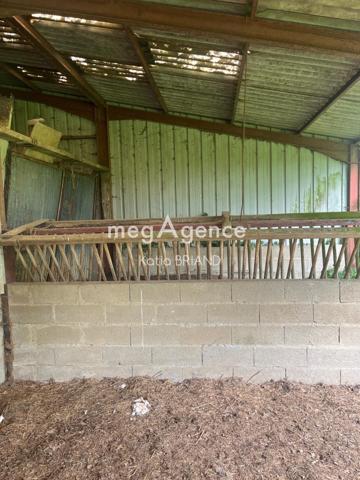 Terrain à SAINT-BERTHEVIN, 53940 - 31800m²