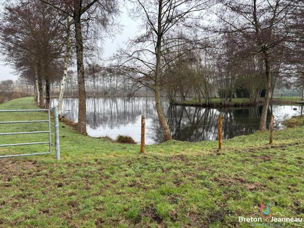 Terrain de loisirs de 2 ha 22 avec plan d'eau à Chalons du Maine