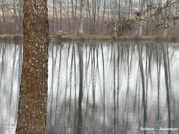 Terrain de loisirs de 2 ha 22 avec plan d'eau à Chalons du Maine