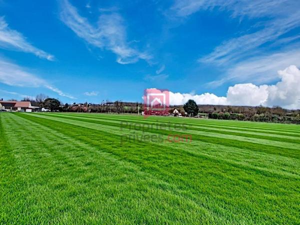 Terrain Bruere Allichamps 1609 m2