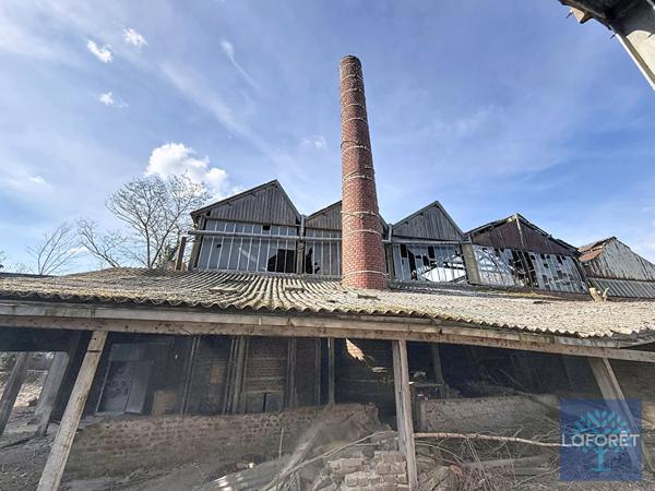 None
