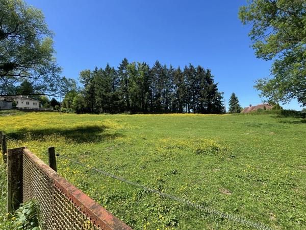 Maison à vendre 7 pièces (71) - 160 M² - Parc arboré de 1.5 hectares avec étang