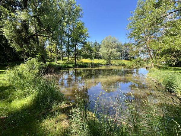 Maison à vendre 7 pièces (71) - 160 M² - Parc arboré de 1.5 hectares avec étang