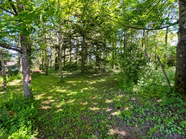 Maison à vendre 7 pièces (71) - 160 M² - Parc arboré de 1.5 hectares avec étang