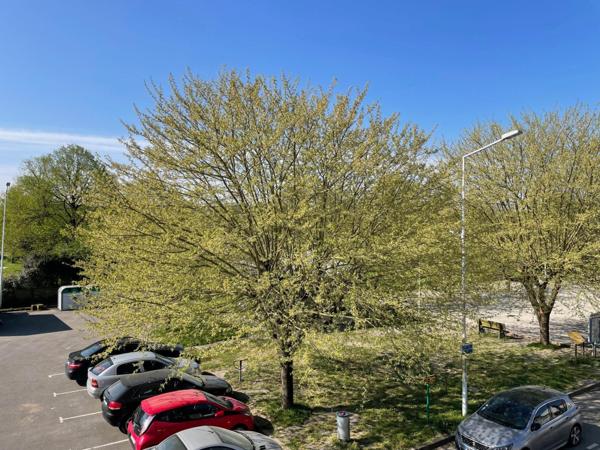 À seulement 8 minutes du centre de Nantes – Appartement T3 en duplex avec vue sur la Loire