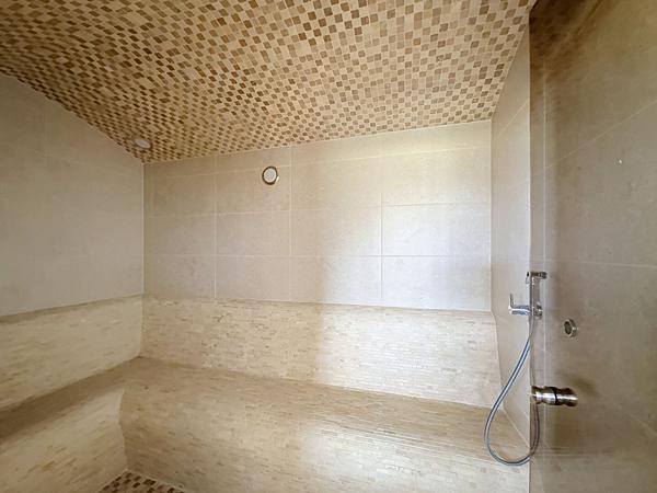 Maison Charnoz- Sur- Ain 6 pièce(s) 190 m2, quatre chambres, piscine, garage, salle de sport , jacuzzi, hammam