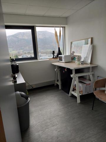 Bureaux à louer SAINT PIERRE EN FAUCIGNY (74) Tour Europa 53m²+ parkings