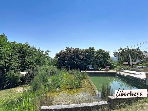 Demeure de caractère avec piscine naturelle et vue dominante sur Nancy