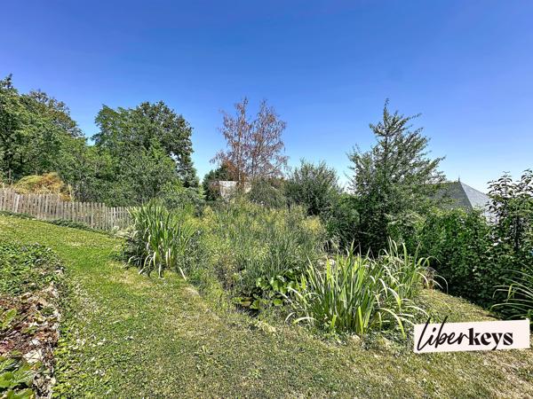 Demeure de caractère avec piscine naturelle et vue dominante sur Nancy