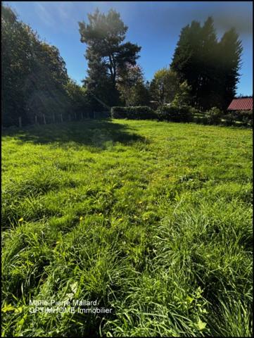 Belle maison en pierres de pays avec nombreuses dépendance à MONTBOUCHER (23)