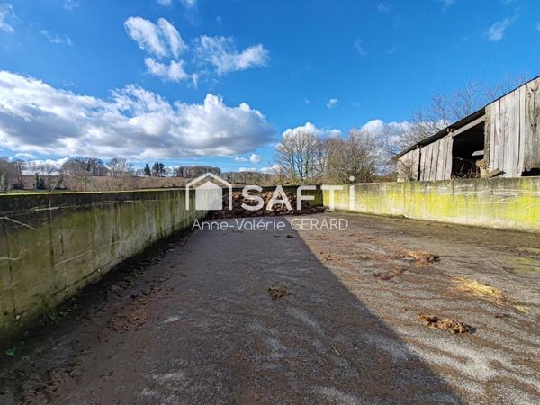 Exploitation agricole avec 15 hectares terres
