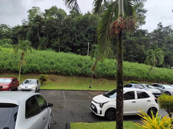 Location Appartement 1 pièces 45 m2 à Fort-de-France