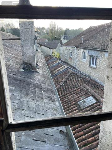 Local mixte (Professionnel/Habitation) à vendre à Javerlhac et la Chapelle Saint Robert en Dordogne (24300), ref : 077/1570