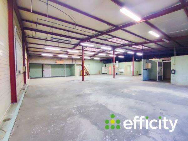 Local Commercial 5 pièces - 550 m²