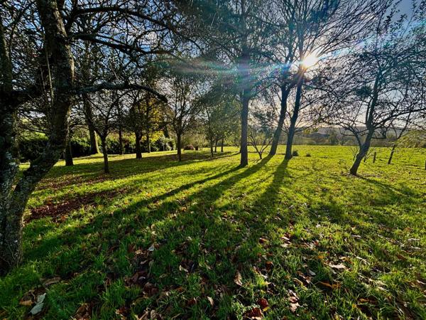 Maison à VERNIX, 50370 - 6 pièces 165m²
