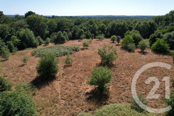 Terrain à vendre  1285 m 2   DIRAC  - 16