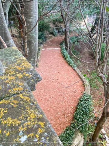 Maison10 pièce(s) 150 m2 habitable , 204m² utile+ Immense garage sur 1227m² de parcelle