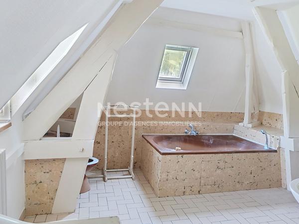 Demeure d'exception avec parc, pièce d'eau et dépendance, coup de coeur assuré - A deux pas du château de CHEVERNY