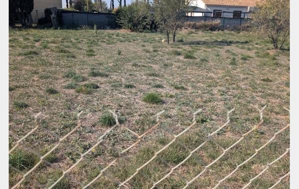Vente Terrain SALLELES D AUDE Salleles-d'aude   