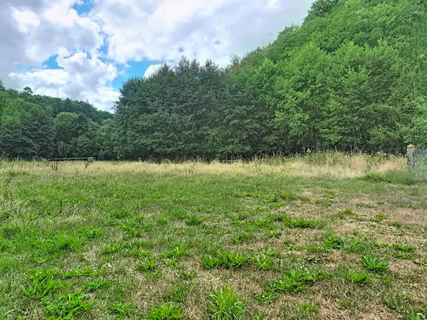 A Vendre - Terrain - Gavray Sur Sienne