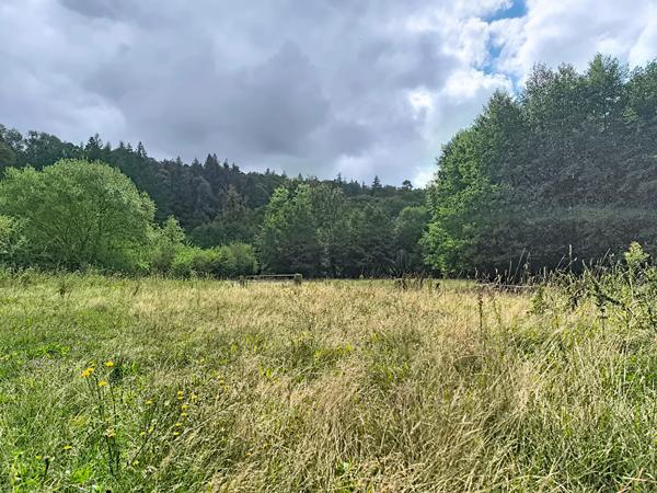 A Vendre - Terrain - Gavray Sur Sienne