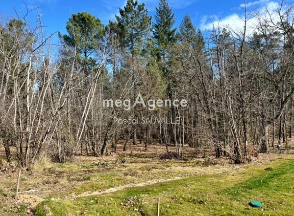 Terrain à TRELISSAC, 24750 - 1625m²