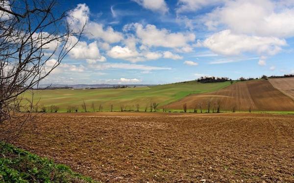 Maison à vendre    10 pièces • 360 m2 Miradoux