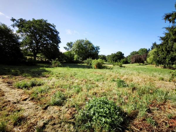 TERRAIN CONSTRUCTIBLE VIABILISE - LA CHAPELLE BERTRAND