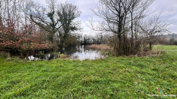 Maison sur 1 ha 70 à Louvigné