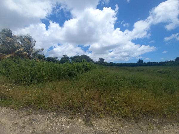 Vente
                Terrain1106 m² - SAINT FRANCOIS (97118)
