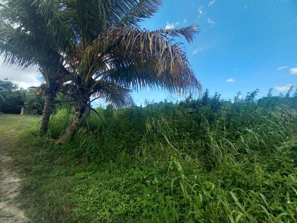 Vente
                Terrain1106 m² - SAINT FRANCOIS (97118)