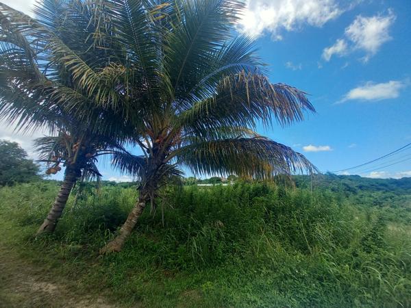 Vente
                Terrain1106 m² - SAINT FRANCOIS (97118)