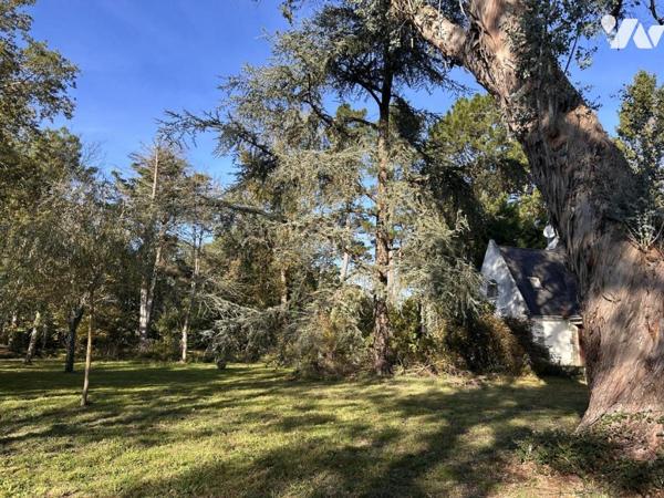 A VENDRE CARNAC Nord, dans lotissement résidentiel, maison années 70, terrain en Na 6460 m²