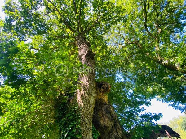 Maison ancienne de 108 m²