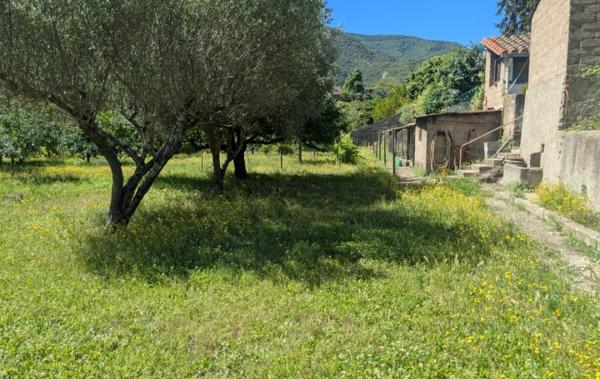 Vente Terrain plat - arboré et constructible Arles-sur-tech