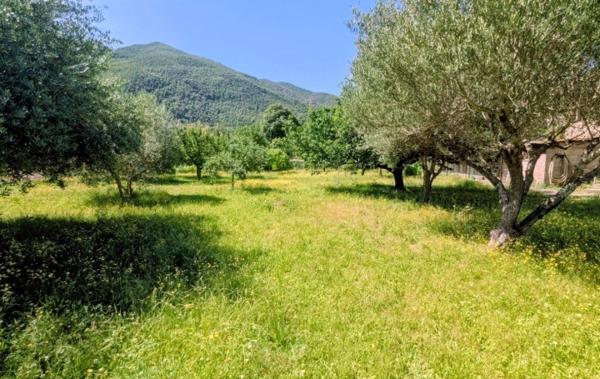 Vente Terrain plat - arboré et constructible Arles-sur-tech