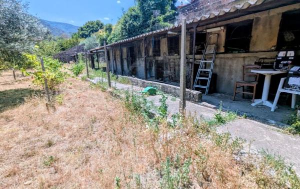 Vente Terrain Plat et arboré Arles-sur-tech