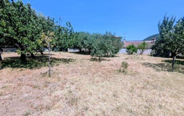 Vente Terrain Plat et arboré Arles-sur-tech