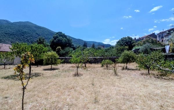 Vente Terrain Plat et arboré Arles-sur-tech