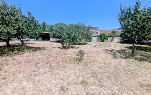 Vente Terrain Plat et arboré Arles-sur-tech