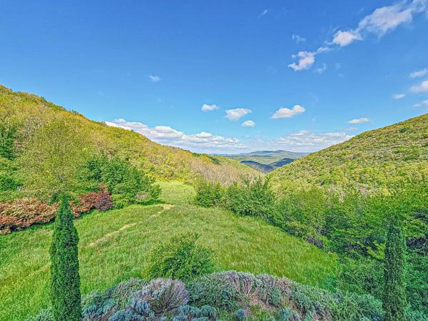 Superbe propriété de caractère avec terrain et piscine