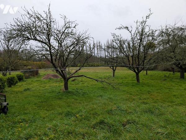 exclusivité longère en pierre avec terrain constructible en partie