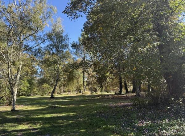 Vente                                                      Propriété
                        
                     11 pièces                      207 m2                     à Bazas