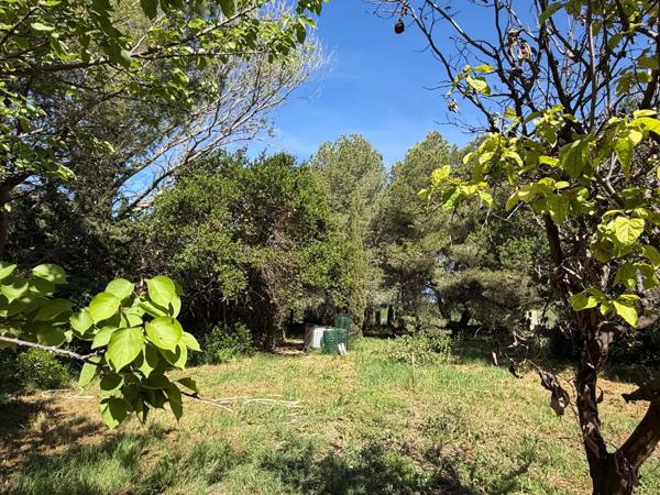 Maison Vigneronne T5 avec remise attenante