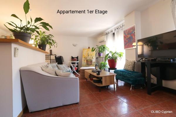 Vente / Immeuble à Argelès-sur-Mer (66700)