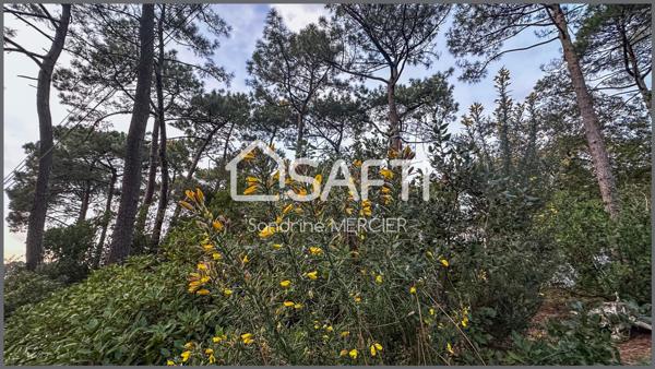 Abatilles Maison à rénover